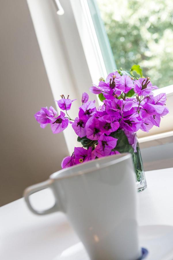 Dubrovnik Apartments Lele Екстериор снимка
